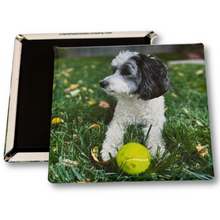 Photo Magnets / Square 2" - Set of 9
