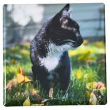 Photo Magnets / Square 2" - Set of 4